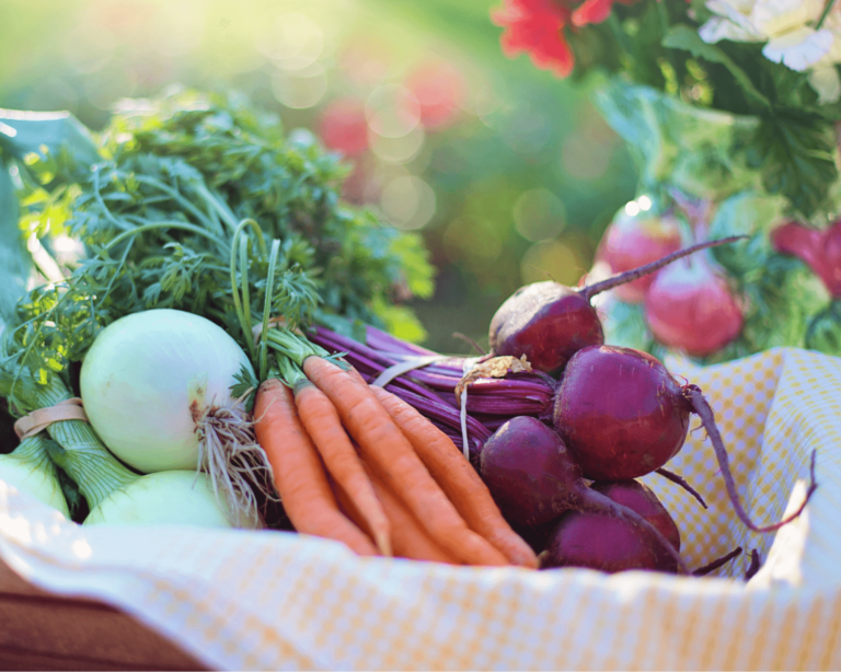 SEO pour les petits producteurs bretons