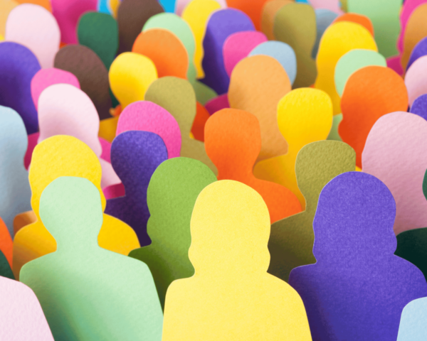 Analyse trafic SEO
